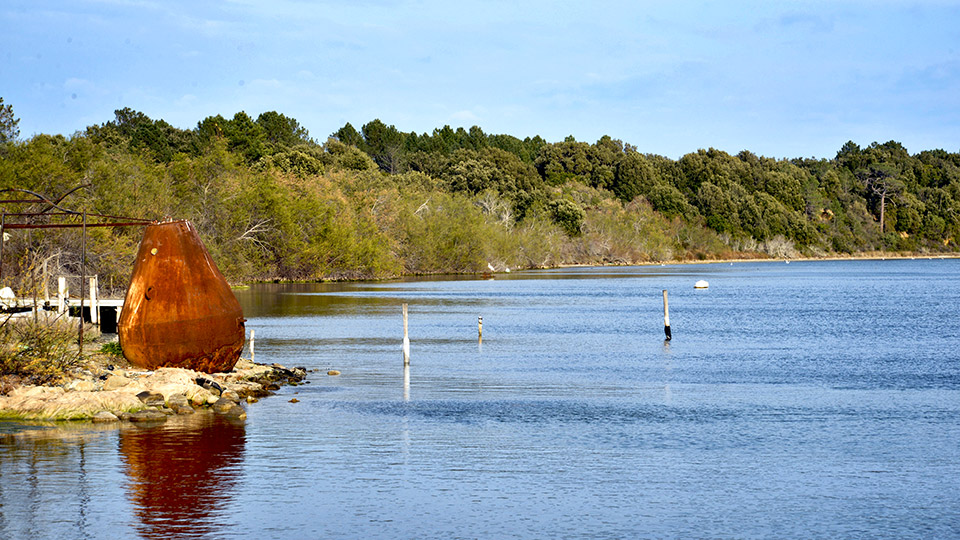 Camping Ghisonaccia