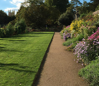 image-jardin-botanique-mise-en-avant