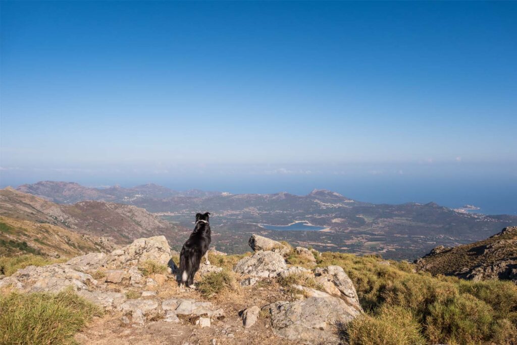 La-Haute Corse avec son Chien