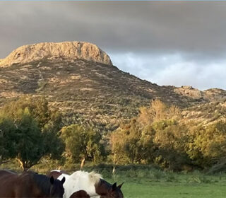 vignette-ferme-equestre-arbo-valley