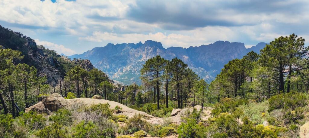 Quelle est la différence entre la Corse du Nord et la Corse-du-Sud ? Camping Haute Corse
