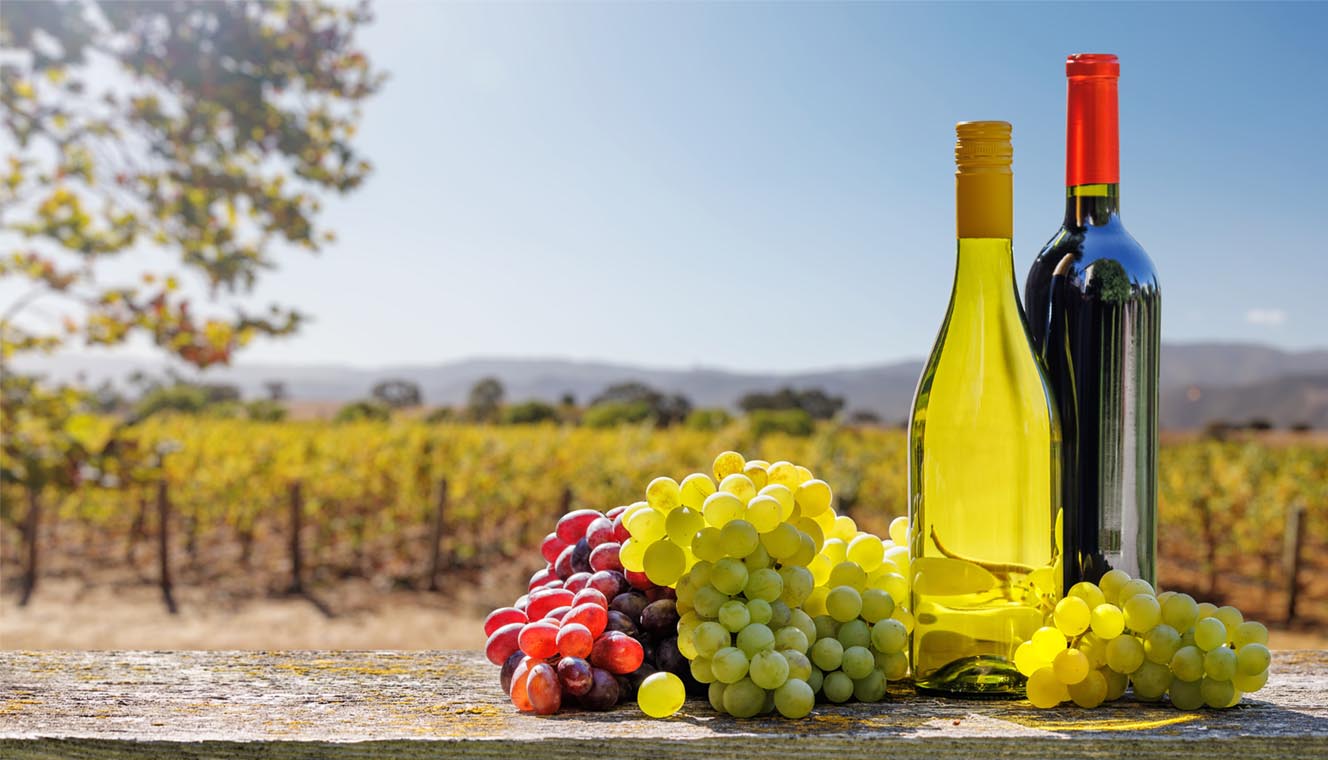 Route des vins de Patrimonio domaines à visiter, dégustations et idées d’itinéraires