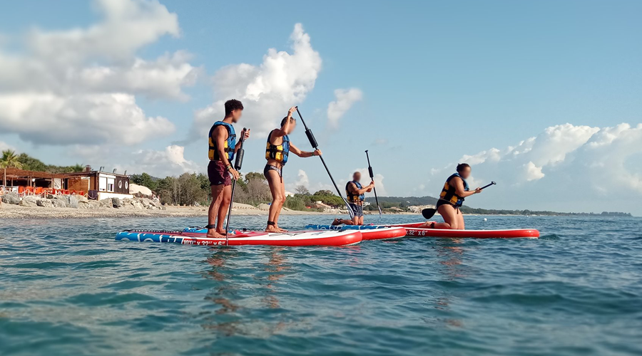 Sur une plage, des amateurs de paddle board naviguent sur une mer bleue sous le soleil, entourés de palmiers et d'un cadre relaxant.