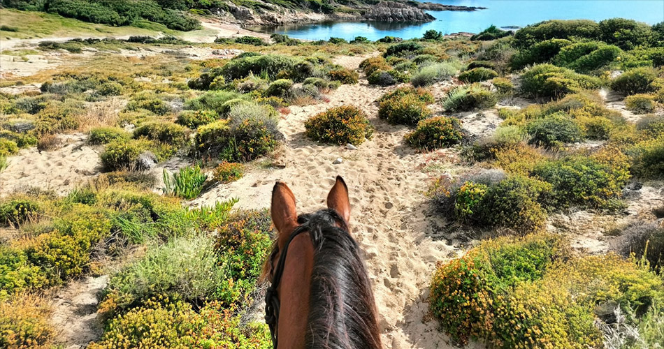 image-arbo-valley-02