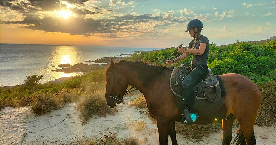 image-arbo-valley-03