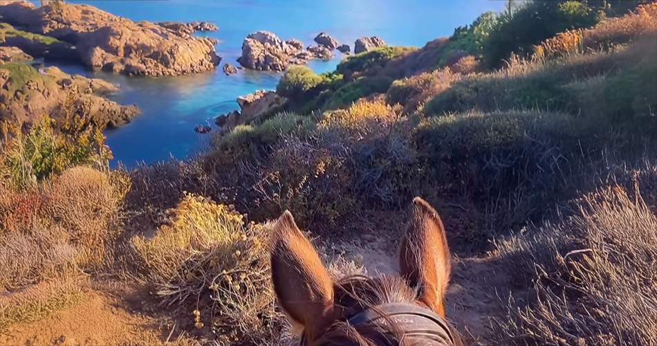 image-arbo-valley-04