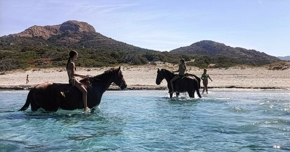 image-arbo-valley-05