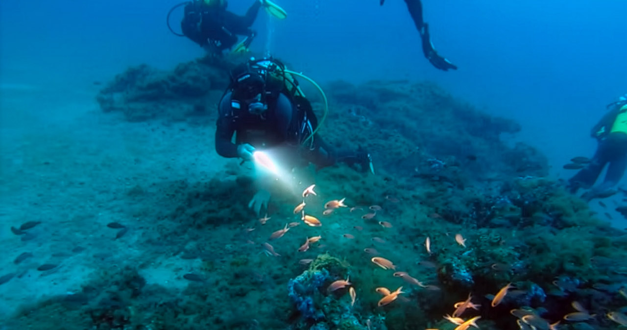 image-club-de-plongee-bastiais-01