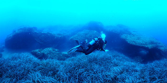 club de plongée Linguizzetta