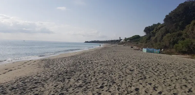 activites-et-loisirs-aux-alentours-de-corsica-natura Longue plage de sable fin sauvage bordée de dunes végétalisées sur la Costa Verde en Haute-Corse sous un ciel azur.