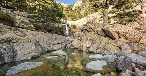 baignade-riviere-camping-alivi-di-a-restonica Baignade dans la rivière de la Restonica en Haute Corse