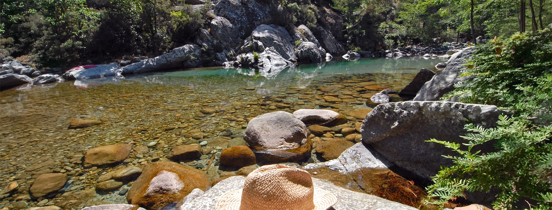 bandeau-camping-alivi-di-a-restonica Rivière de la Restonica à Corte en Corse