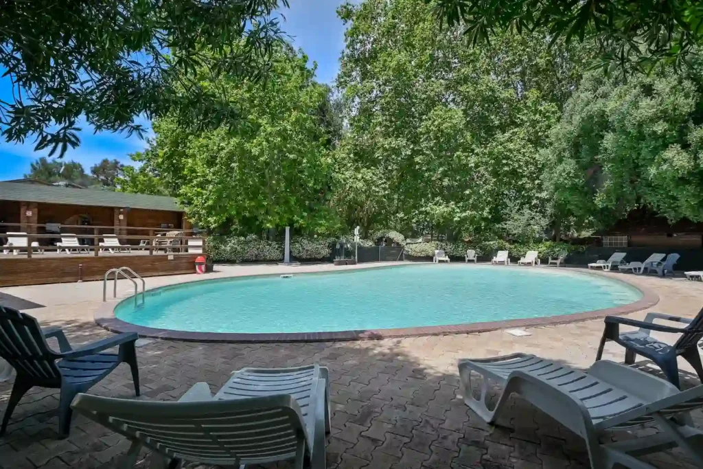 Piscine du Camping Olzo à Saint-Florent, bassin ovale entouré de transats et de grands arbres ombragés en Haute-Corse.