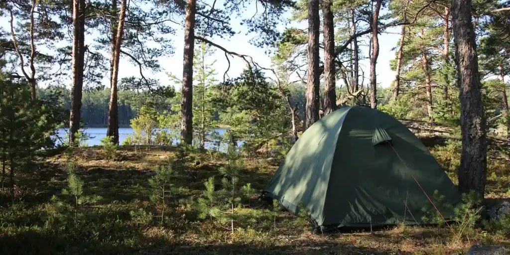 Camping tent set up under the pines by a lake in a wooded and quiet area in Haute-Corse.