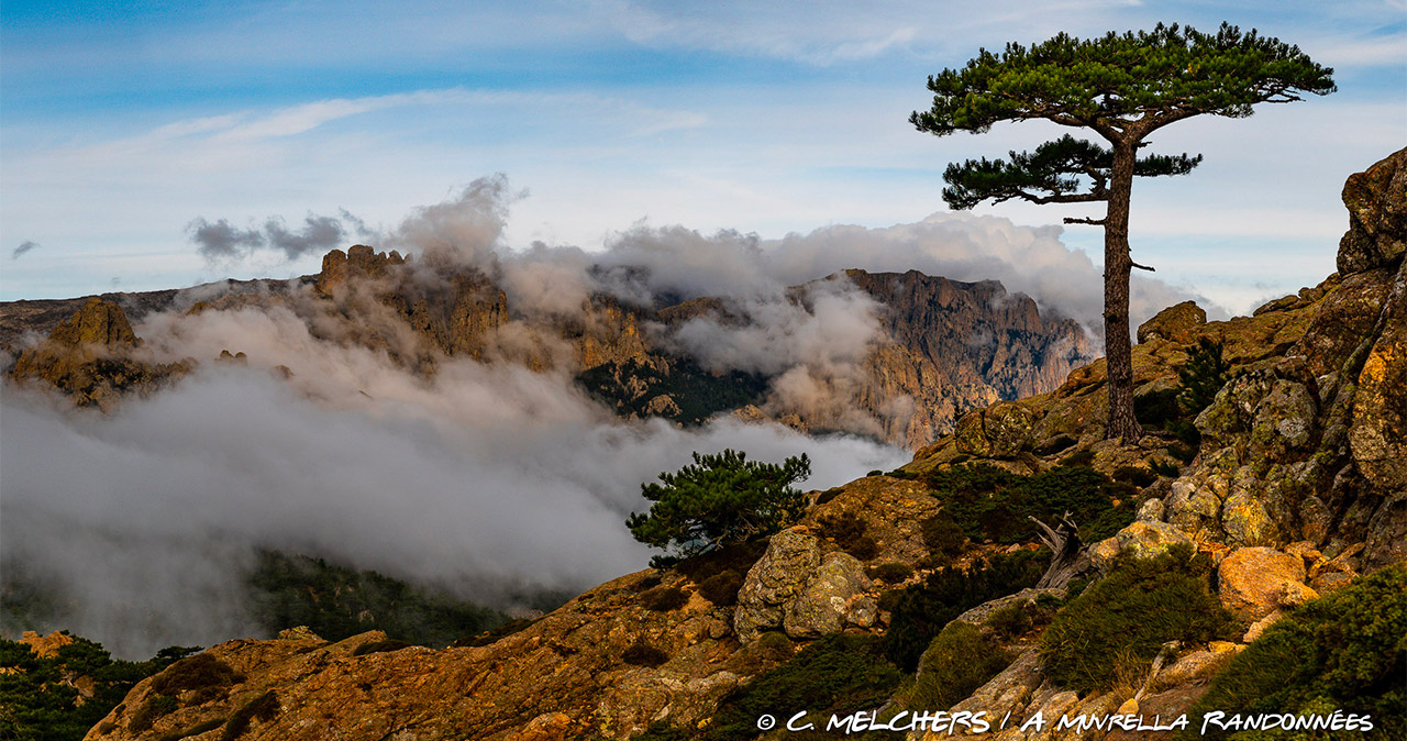 image-a-muvrella-randonnees-01 Wandern in Bavella im Süden Korsikas mit A Muvrella