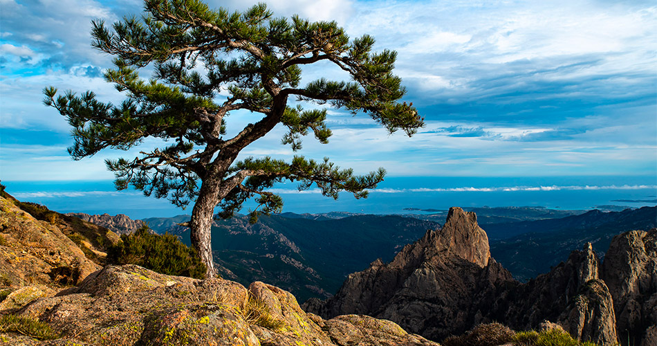 image-a-muvrella-randonnees-02 Wandern in Bavella im Süden Korsikas mit A Muvrella