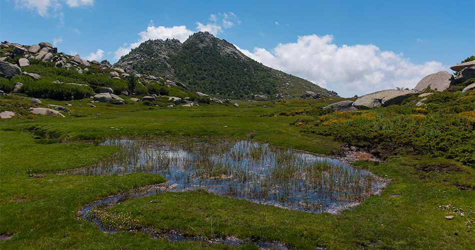 image-a-muvrella-randonnees-04 Wandern auf Korsika mit A Muvrella