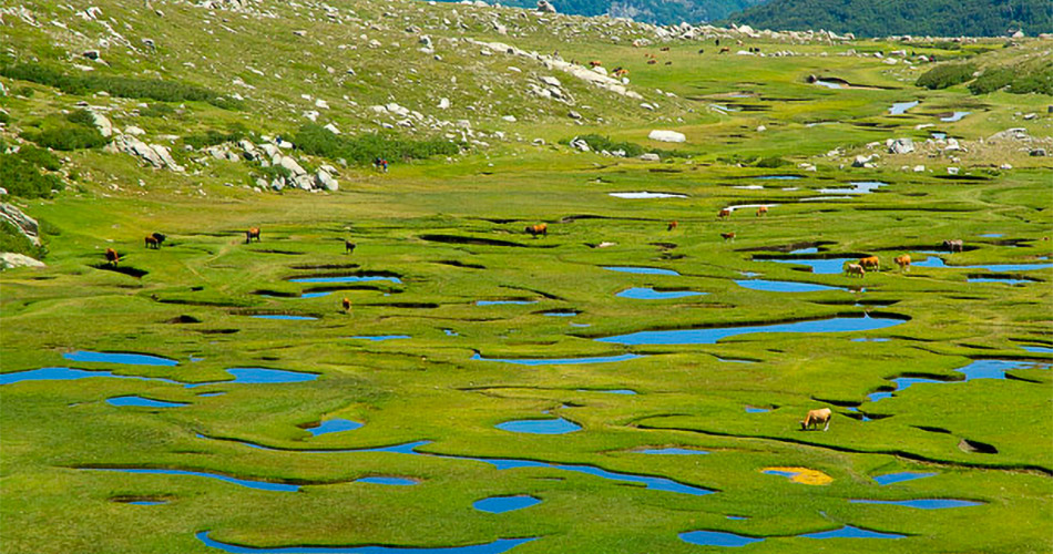 image-a-muvrella-randonnees-05 Randonnées en Corse avec A Muvrella