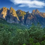 Sommets rocheux des montagnes corses surplombant une forêt de pins laricio sous un ciel bleu.