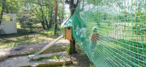 Vue d'un parcours accrobranche pour enfants au Camping Merendella, avec des filets de sécurité verts menant à une cabane dans les arbres et un toboggan en inox.