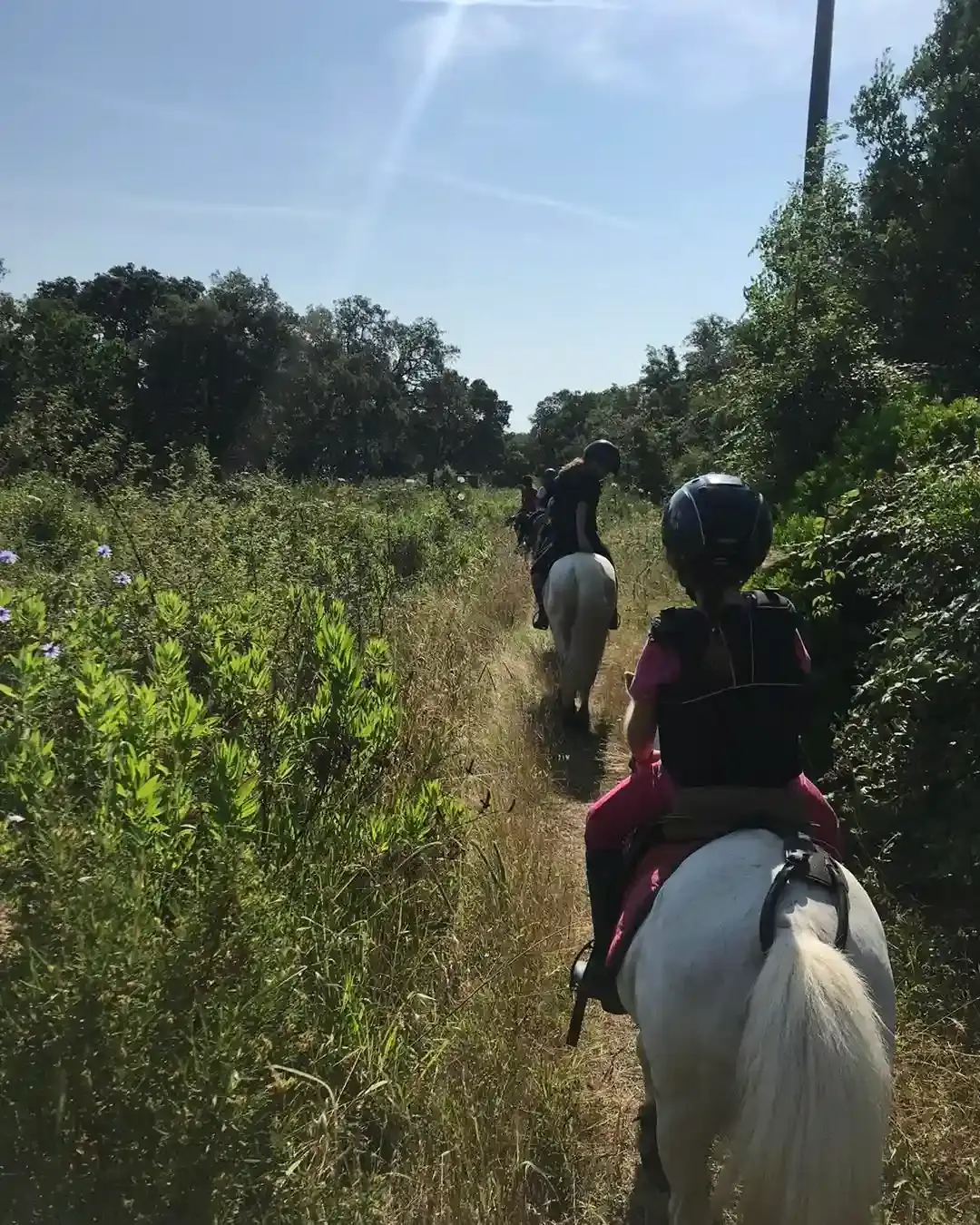 Cavaliers à poney et à cheval parcourant un sentier étroit à travers le maquis corse verdoyant sous un soleil radieux.