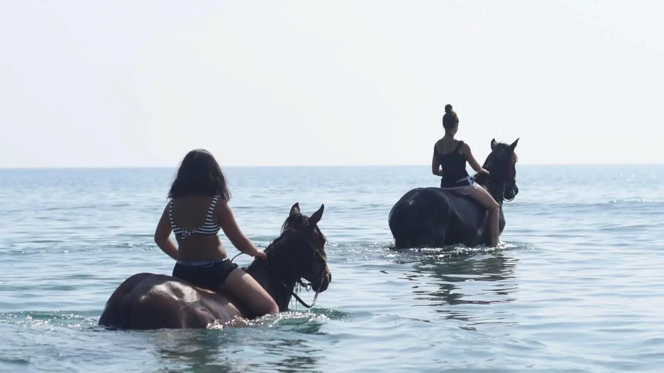 Deux jeunes femmes à cru se baignant avec leurs chevaux dans l'eau cristalline de la mer Méditerranée en Corse.