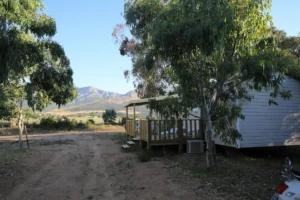 Mobil-home moderne avec terrasse en bois ombragée par des eucalyptus au Camping Paradella près de Calvi.