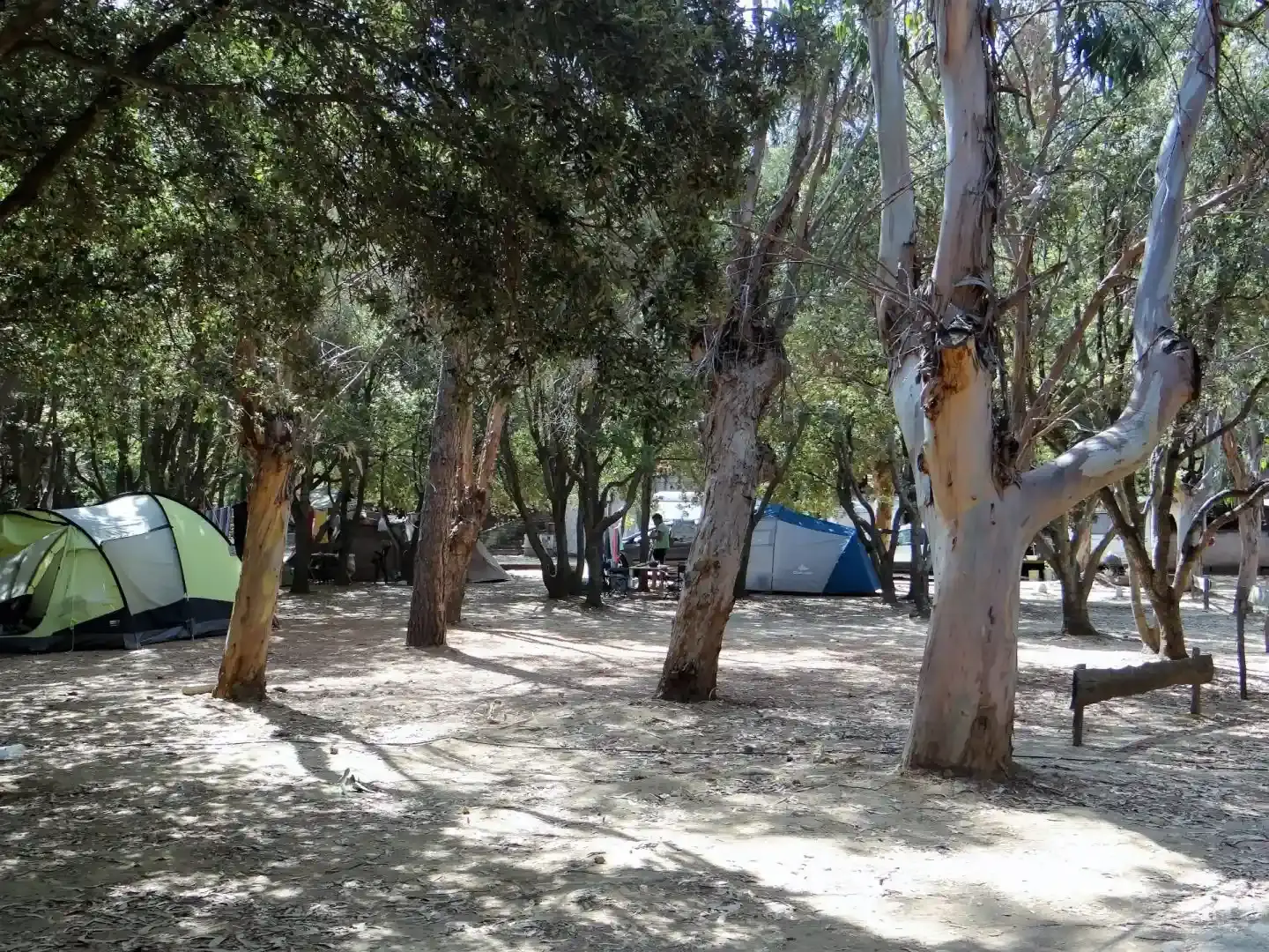 Vue panoramique du domaine arboré du camping A Stella avec ses emplacements spacieux en pleine nature.