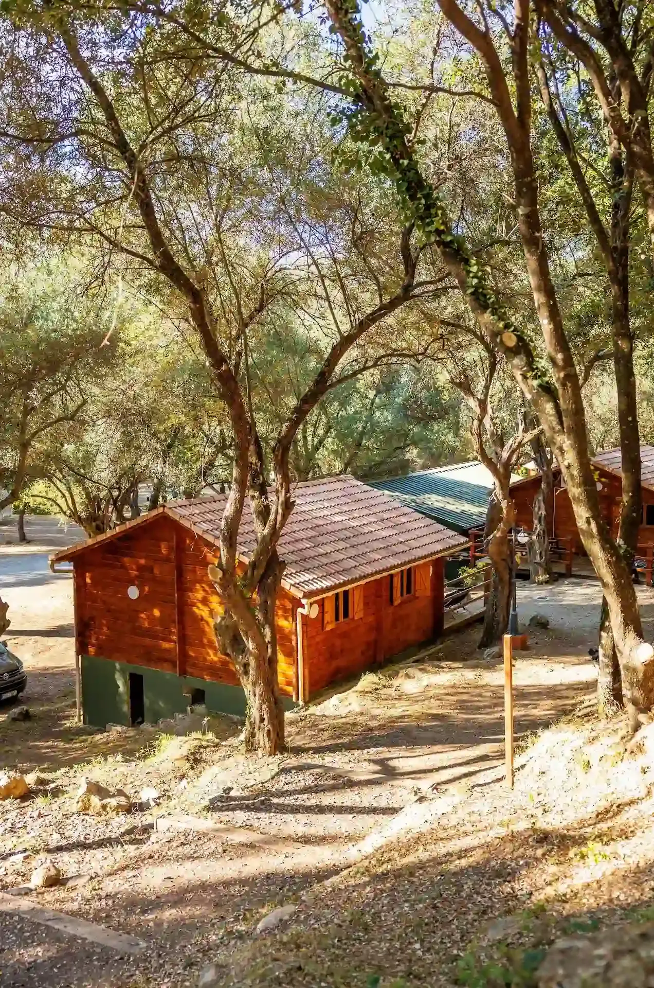 Alignement de chalets en bois nichés sous les chênes et les pins dans un domaine vallonné en Corse centrale.