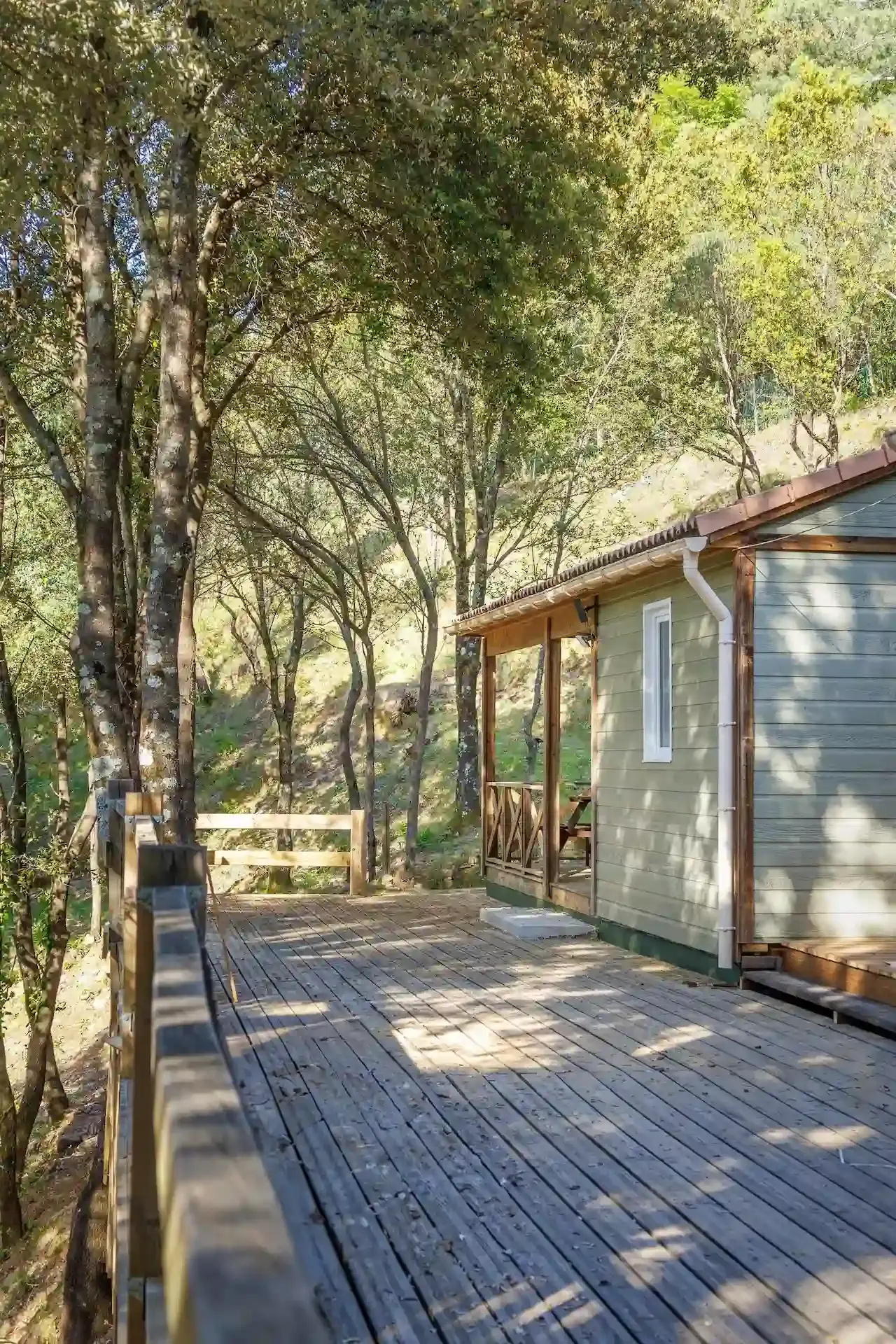 Large terrasse en bois devant un bungalow moderne aux teintes vert olive, entouré d'arbres.