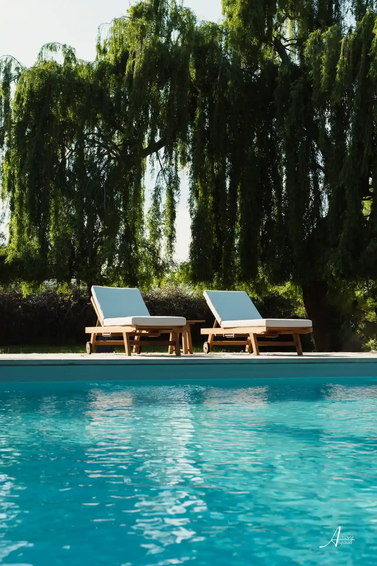 Transats en bois au bord de la piscine creusée du camping U Casone à Ghisonaccia.