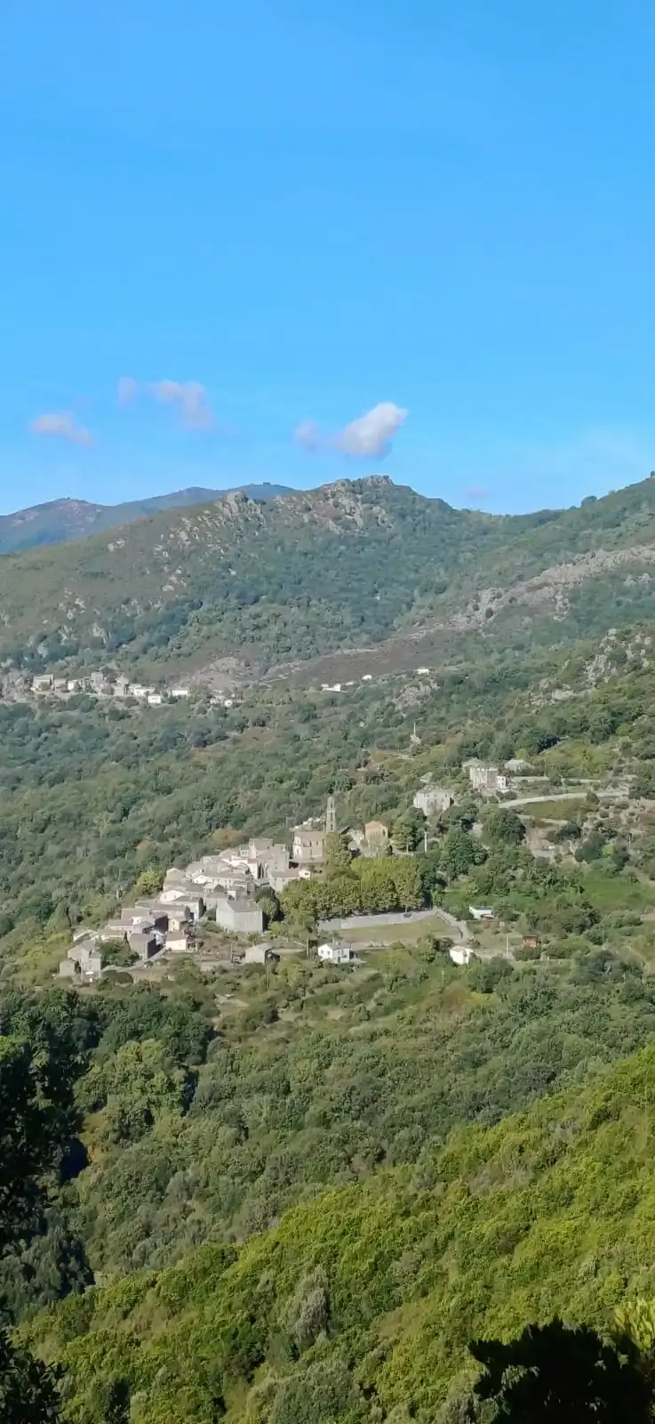 Une vue d'ensemble du village corse de Gozzi, perché dans les montagnes et entouré d'une végétation dense, berceau de la charcuterie éponyme.