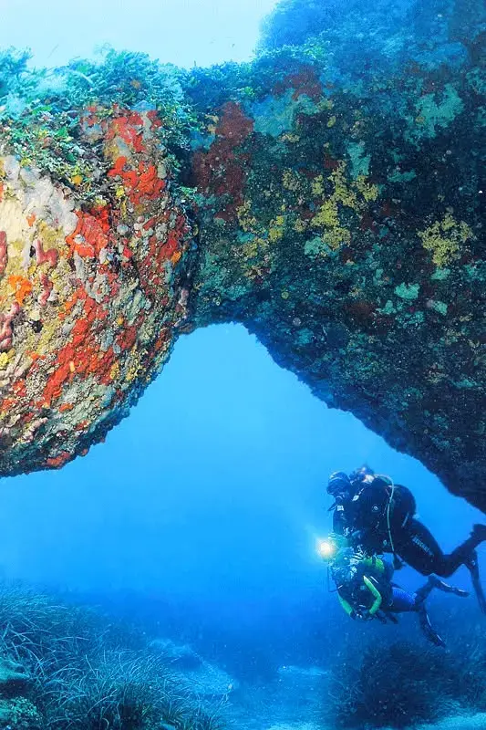 Coraux et éponges colorés colonisant une structure métallique immergée lors d'une plongée sous-marine en Corse.