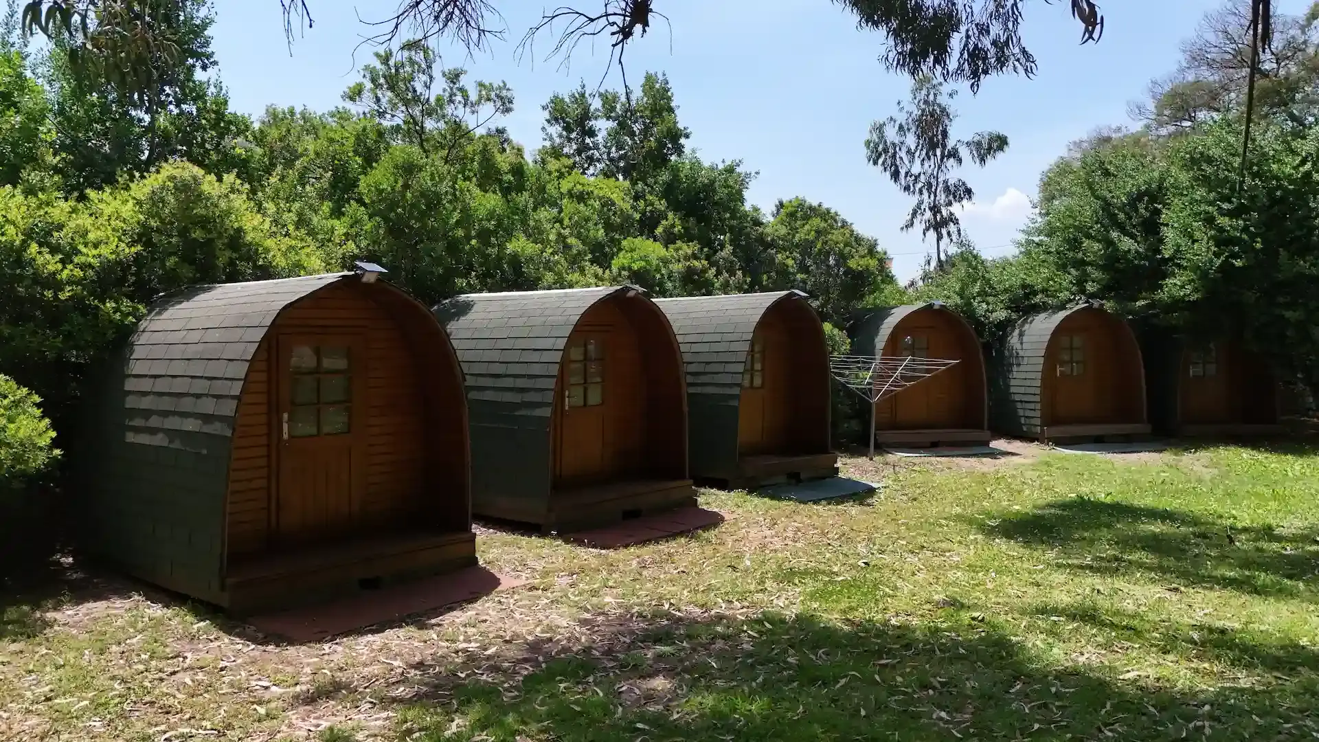 Chalet en bois clair avec terrasse intégrée niché dans une forêt de chênes en Haute-Corse.