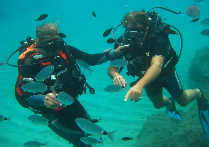 Binôme de plongeurs en pleine immersion dans les eaux cristallines durant une séance de plongée sous-marine en Corse