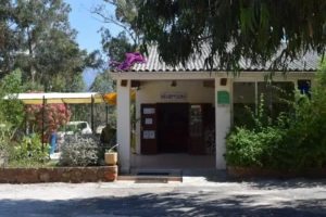 Bâtiment de la réception du Camping Paradella à Calvi, avec l'enseigne "RÉCEPTION", une terrasse couverte et de la végétation méditerranéenne.