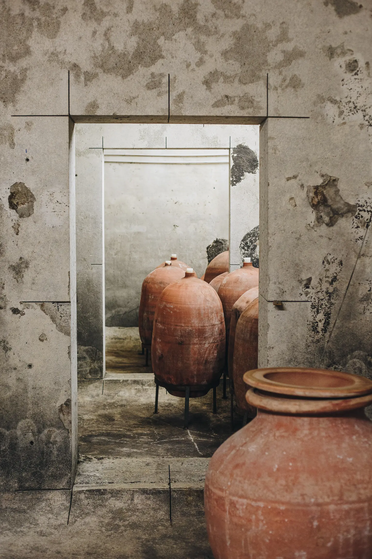 Amphores en terre cuite alignées dans le chai en pierre pour l'élevage traditionnel du vin corse rouge au Clos Canereccia.