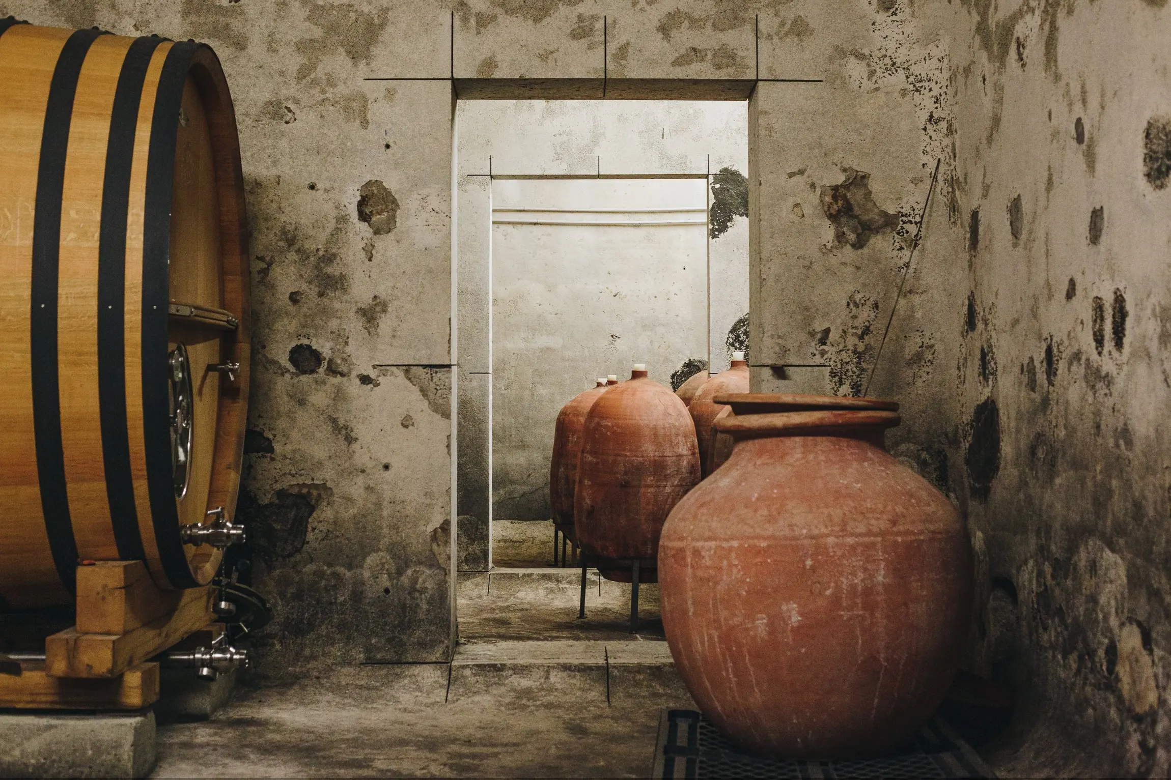 Chai de vinification du domaine Clos Canereccia avec une grande foudre en bois de chêne à gauche et une jarre en terre cuite au premier plan.