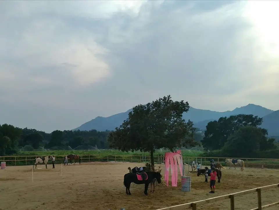 Carrière de sable du centre équestre de San Giuliano avec cavaliers et chevaux en plein exercice face aux montagnes corses.