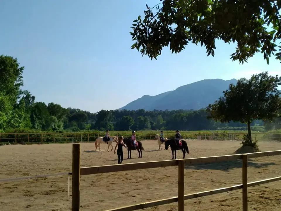 Groupe d'enfants à poney encadrés par une monitrice lors d'une leçon collective dans la carrière de San Giuliano sous un soleil d'été.