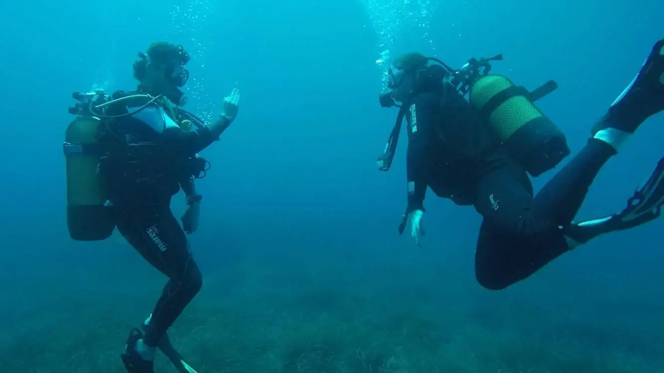 Deux plongeurs en pleine eau effectuant des signes de communication lors d'une formation technique.