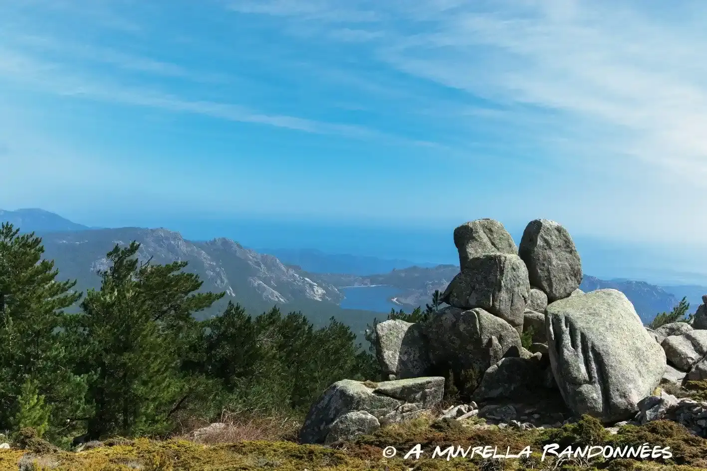 Sommets montagneux rocheux surplombant le littoral bleu de la Corse avec des pins laricio au premier plan.