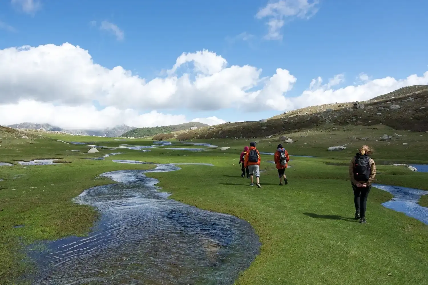 Quatre randonneurs marchant sur une pelouse verte traversée par de petits ruisseaux sinueux sous un ciel nuageux.