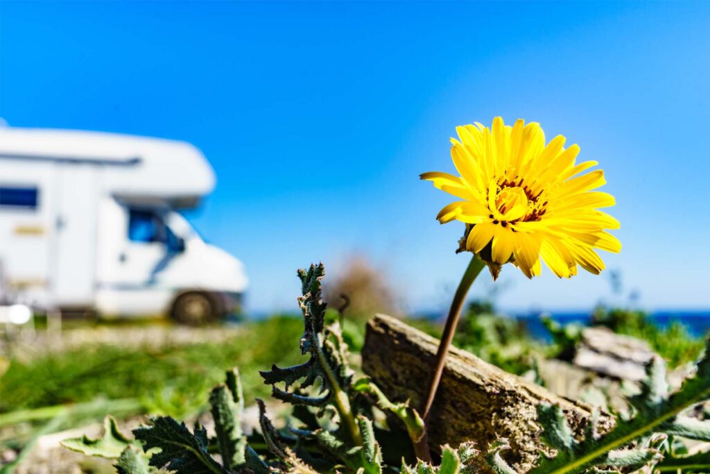 Quels campings en Corse offrent des emplacements avec vue sur la mer en 2026 ?