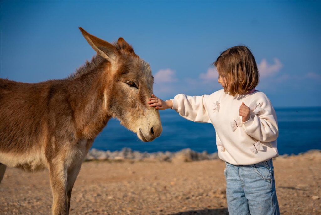 Quels services proposent les campings en Corse pour les enfants ?